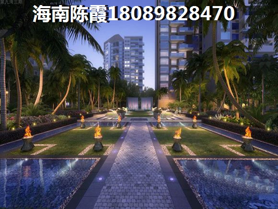 海南兴隆镇房产今后9年前景怎么样？