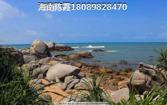 [db:楼盘名称]