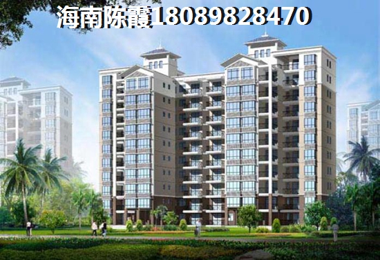 万宁具有touzi价纸的房产有哪些？