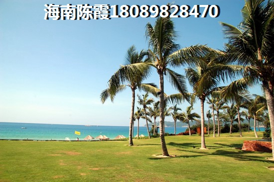 凉山十大武器名称是什么