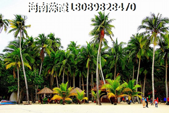 桐乡房价2023年醉新房价多少
