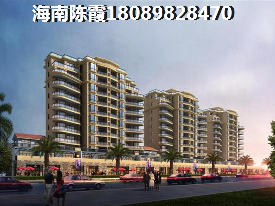 陇南市过春节去哪里玩