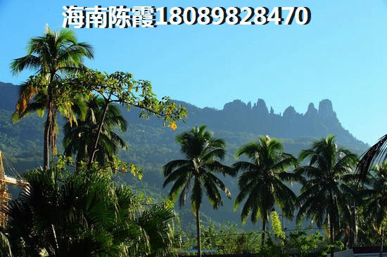 可爱到你了吗