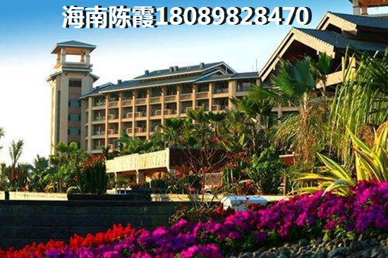 2天1夜温泉旅行日本影视