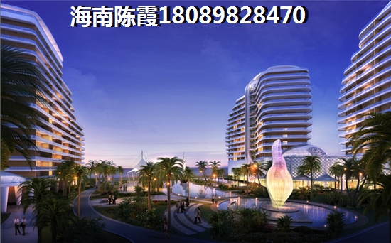 宁夏小青菜的简介