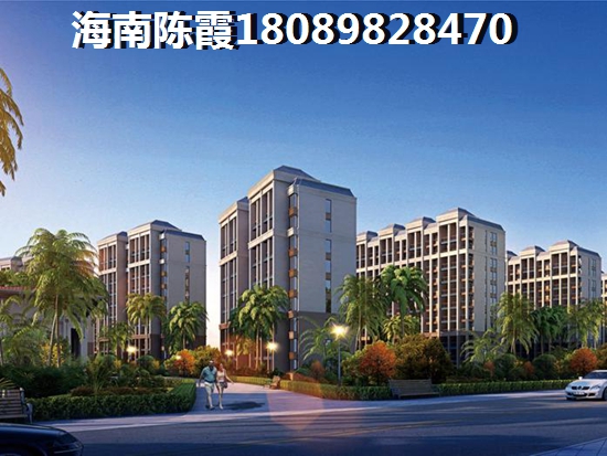 想养老在海南什么项目买房子？