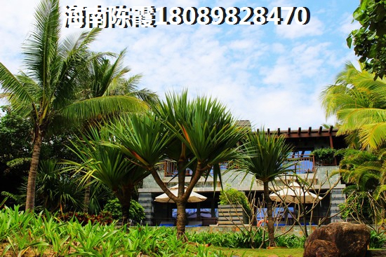 万宁石梅湾附近景点