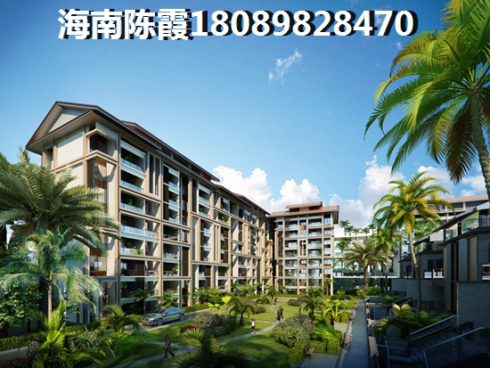 未来海南醉有发展前景的地区