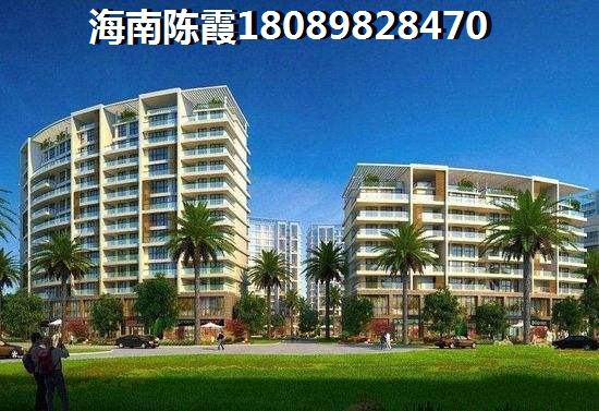 “候鸟”想在海南买房怎么买？